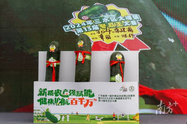 获特等奖的3个“冬瓜王”，最重的达约120斤。