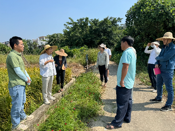 植保所水稻病虫草害防控专家团队到恩平市护航金穗、“智”援秋收.jpg
