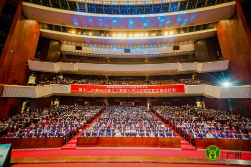 大会开幕式现场  受访者供图