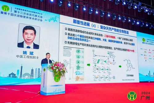 中国工程院院士、中国农业科学院北京畜牧兽医研究所姚斌研究员在大会中作报告  受访者供图