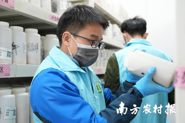 省级质控实验室对各单位制样情况进行检查。 省级质控实验室对各单位制样情况进行检查。