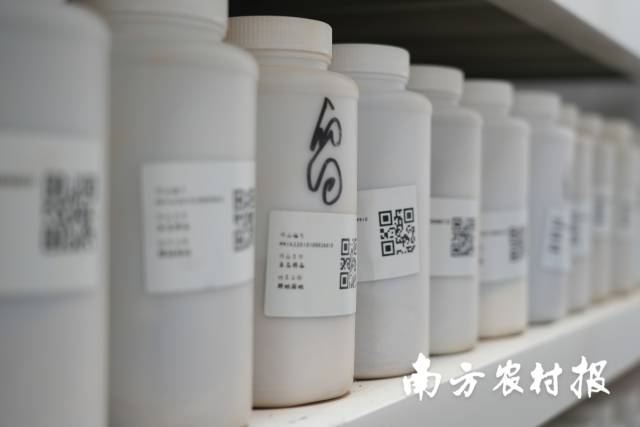 土壤检测样品。 土壤检测样品。