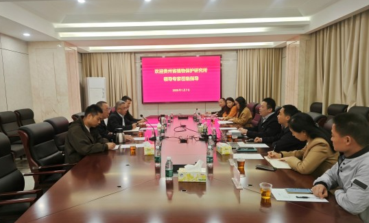 20250107贵州省植物保护研究所到植保所调研.jpg