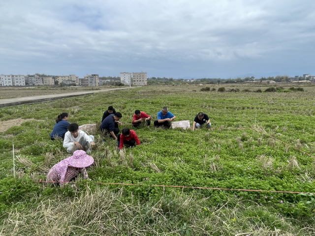 南方农村报 叶香玲 拍摄