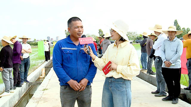 种植户林伟民谈科学施肥心得