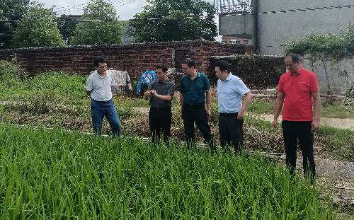 植保所到翁源开展“双百行动”科技服务对接.jpg
