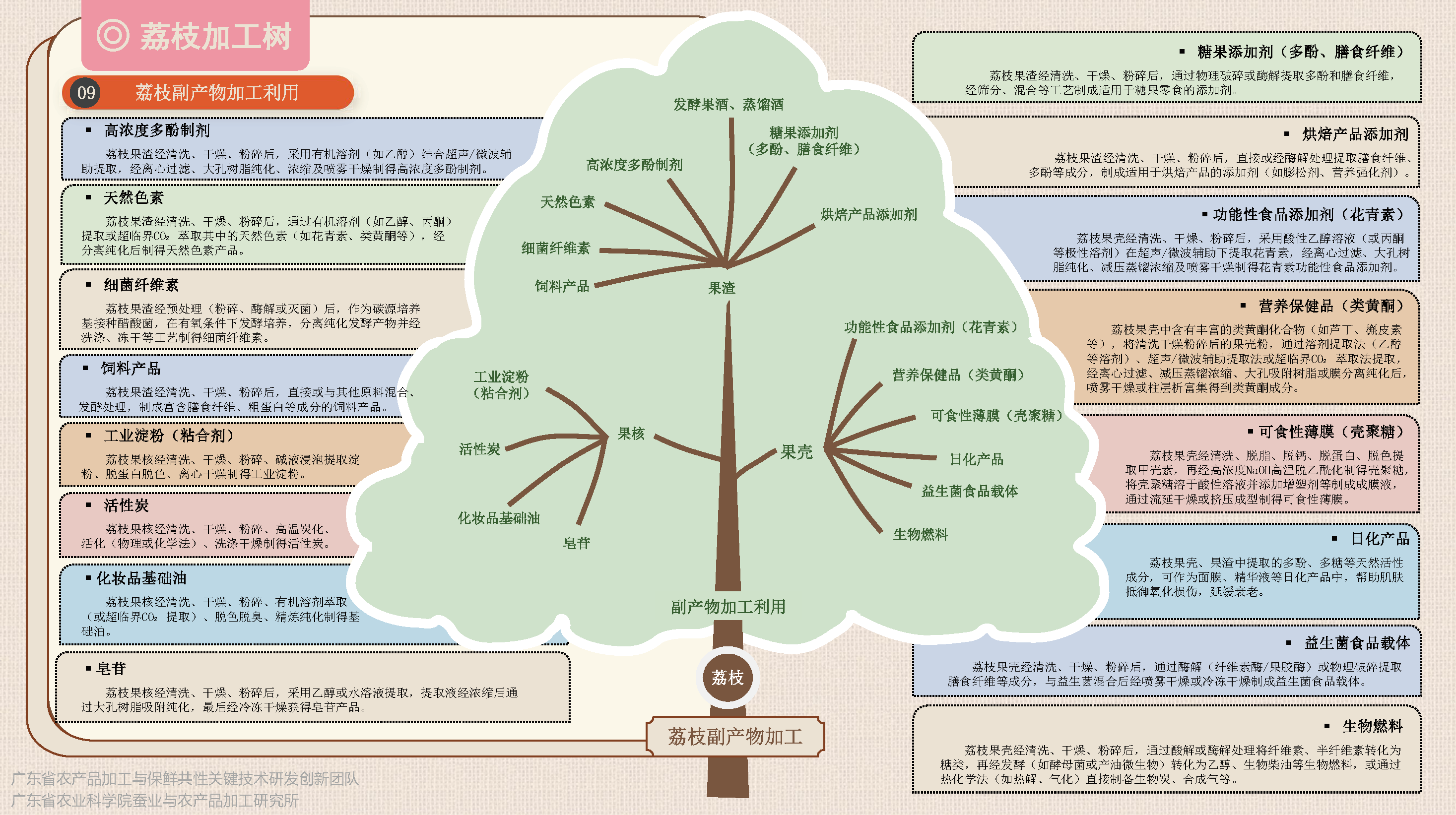 荔枝保鲜加工树(1)-定稿_页面_8.png