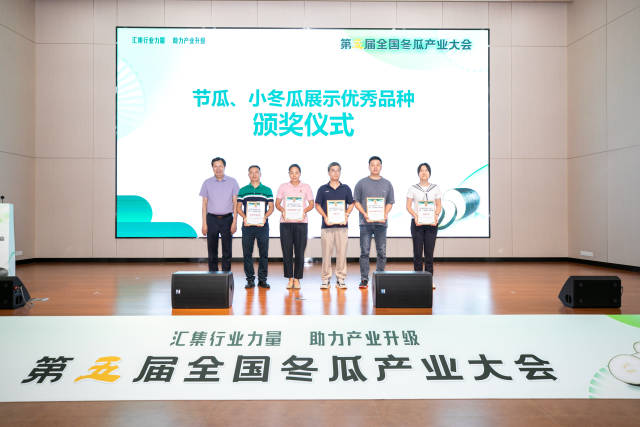 节瓜、小冬瓜展示优秀品种颁奖 节瓜、小冬瓜展示优秀品种颁奖