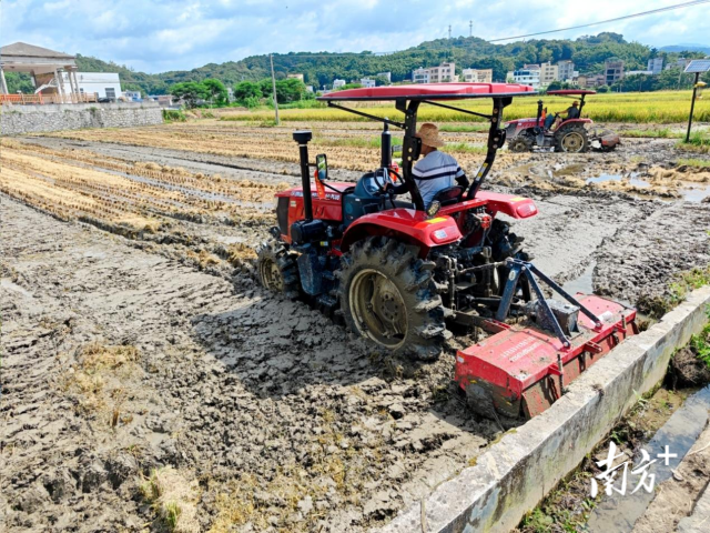 翻耕犁田过程中,灌水浸泡过的秸秆碎末与土壤充分混合,化作养分滋养下茬作物。