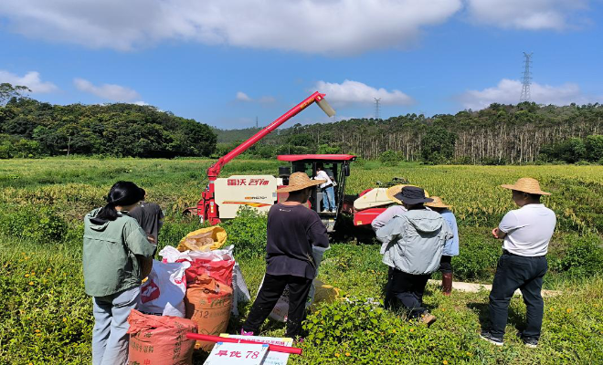 图片1-NEP1_20250813_C0028259046