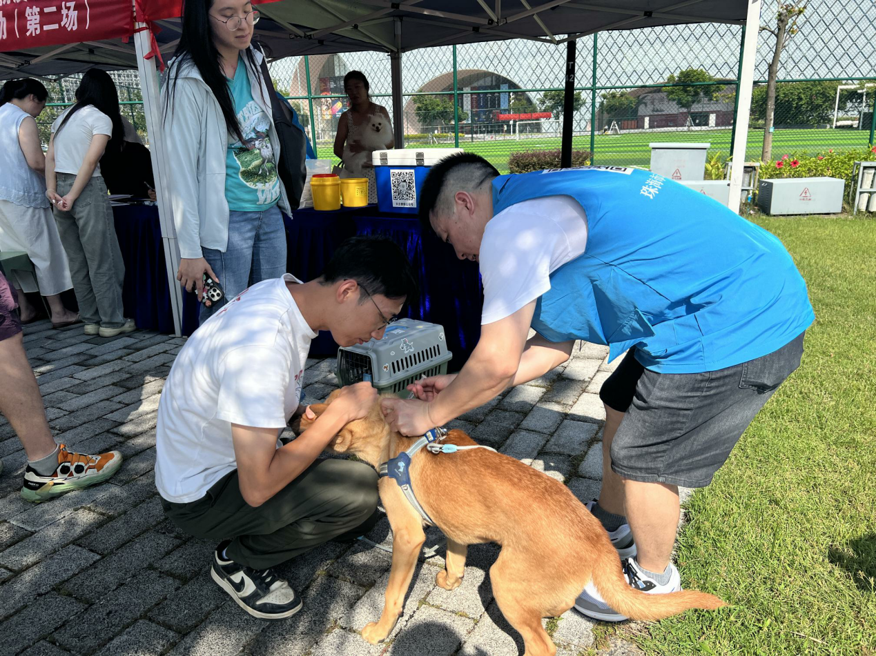 1020筑牢防疫屏障!省农科院动卫所助力横琴粤澳深度合作区开展犬猫狂犬疫苗集中接种活动.docx_2