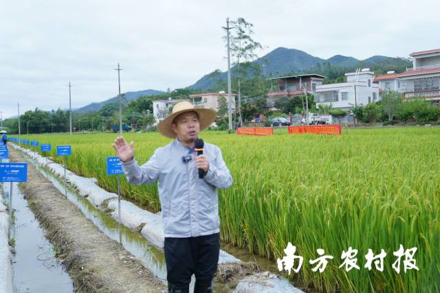 华南农业大学资源与环境学院沈宏教授在田间授课 华南农业大学资源与环境学院沈宏教授在田间授课