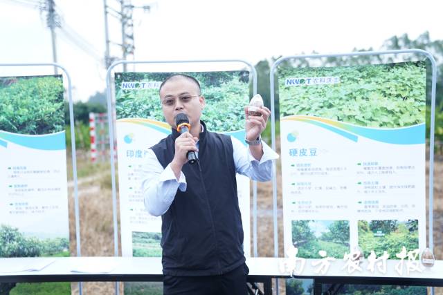 徐守俊博士在田头讲解绿肥种植相关技术 徐守俊博士在田头讲解绿肥种植相关技术