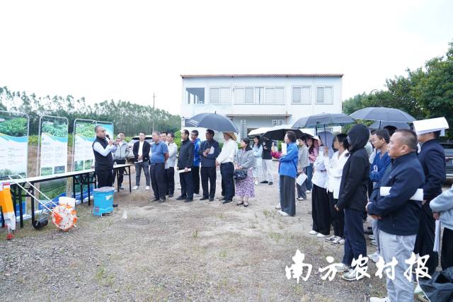 果园绿肥种植演示 果园绿肥种植演示
