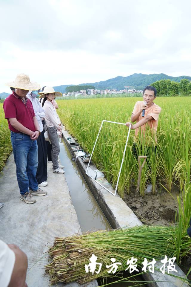 广东省农科院农业资源与环境研究所副研究员黄旭(右) 广东省农科院农业资源与环境研究所副研究员黄旭(右)